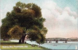 Waterloo Row Fredericton NB New Brunswick Postcard E36