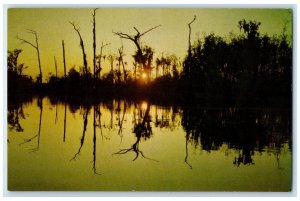 c1960 Okefenokee Deep Swamp Park South Sunset Waycross Georgia Vintage Postcard