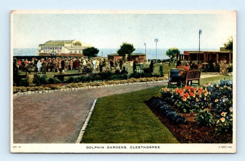 TUCKS Dolphin Gardens CLEETHORPES Lincolnshire England UK Postcard
