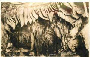 Chattanooga Tennessee Fish Market Lookout Mtn Caves 1943 RPPC Postcard 12991