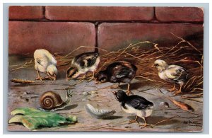 1907 German American Novelty Art Series 651 Chicks Snail Printed in Germany