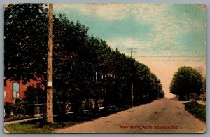 Postcard Atwood Ontario c1912 Main Street North CDS Duplex Cancel