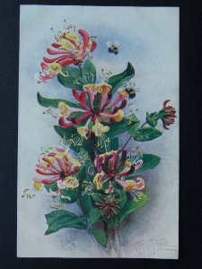 Flowers HONEYSUCKLE Artist A.F ARMITAGE c1926 Postcard by Raphael Tuck 8489