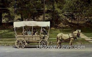 Bella Vista's Covered Wagon - Bella Vista Village, Arkansas AR  