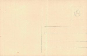 Norway Austmannlid Röldal RPPC 06.62