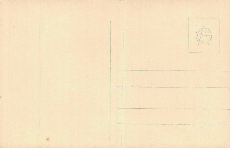 Norway Austmannlid Röldal RPPC 06.62