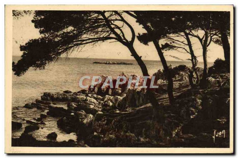 Old Postcard Antibes La Pinede