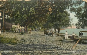 Vintage Postcard; Looking South, Quiver Beach Summer Resort Havana IL, Wheelock