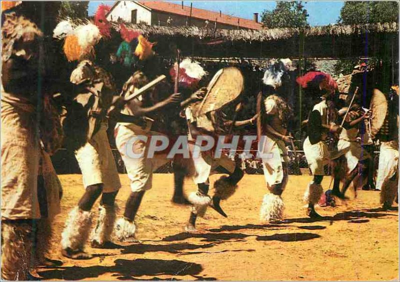 Postcard Modern South Africa (Zulu folk dances) Perible in Southern Africa Fo...