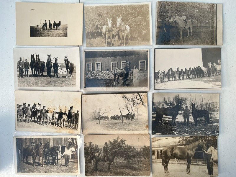 120x Horse Wagon Buggy Sleigh c1910 Antique RPPC Photo Postcard Collection Lot