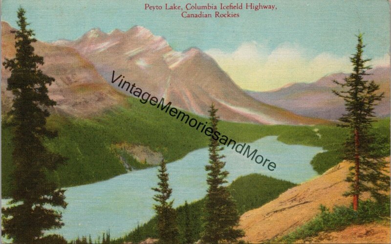 Peyto Lake Columbia Icefield Highway Candian Rockies Postcard PC267