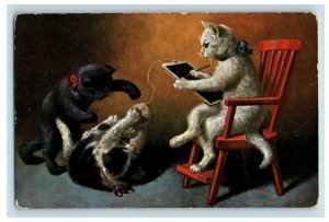 C.1910 Anthropomorphic Cats Lovely Adorable German Postcard P50 