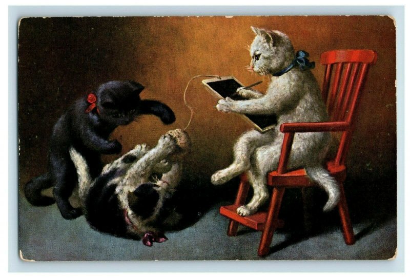 C.1910 Anthropomorphic Cats Lovely Adorable German Postcard P50