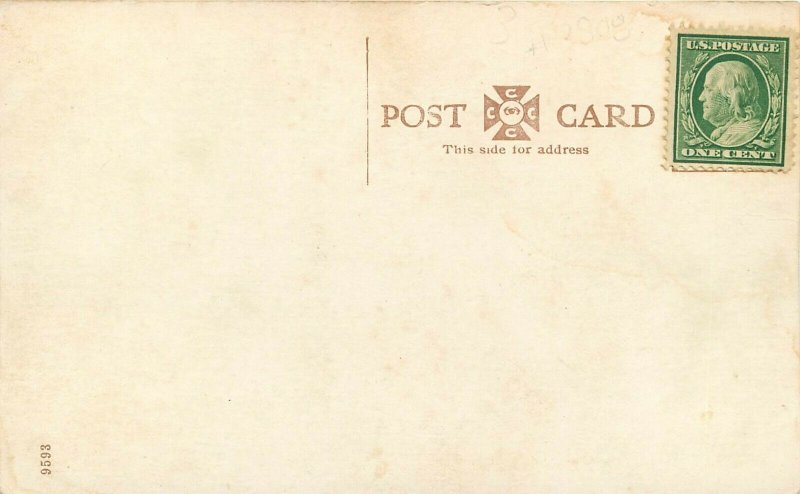 c1910 Wheelock Postcard; Peoria IL, Palm House, Glen Oak Park, Unposted