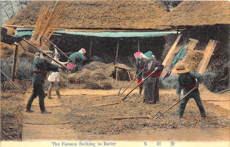 Early Japanese The Farmers Striking to Barley Postcard