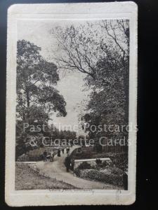 Colchester: Castle Park c1911