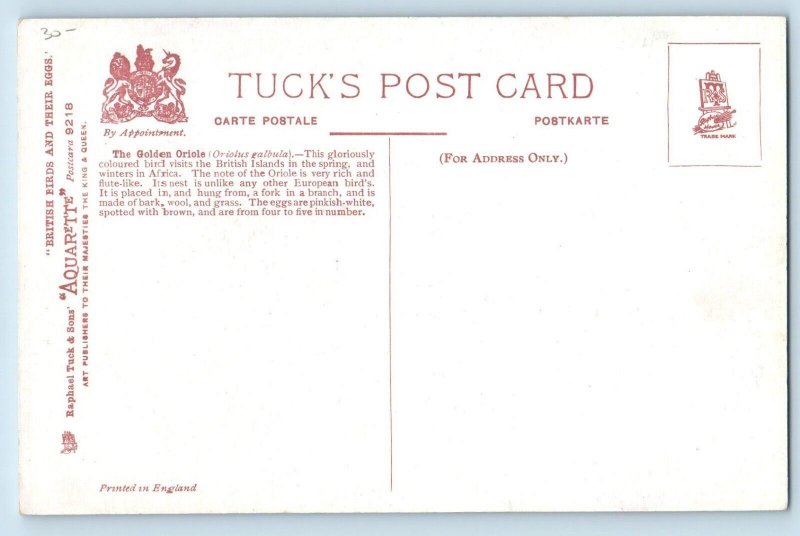 Aquarette Tuck Postcard The Golden Oriole British Birds And Their Eggs c1910's