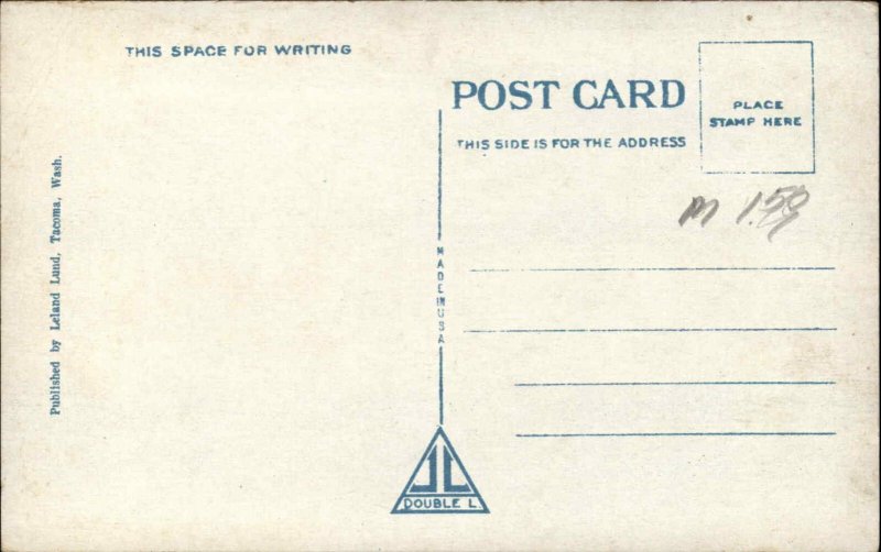 Seattle Washington WA Aerial University Campus 1900s-20s Vintage Postcard