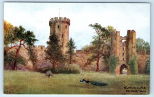 WARWICK Castle The Court Yard ENGLAND UK artist Salmon Postcard