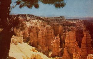 Bryce Canton National Park,UT BIN