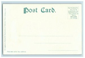 Circa 1900-10 Public Library, Lawrence, Mass Unused Vintage Postcard P17
