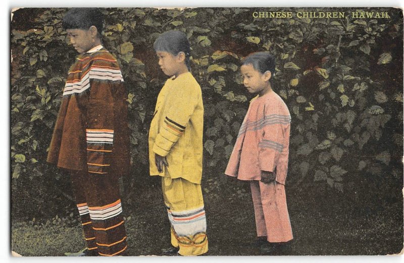 Chinese Children, Hawaii South Seas Curio Co. 1910s Vintage Postcard