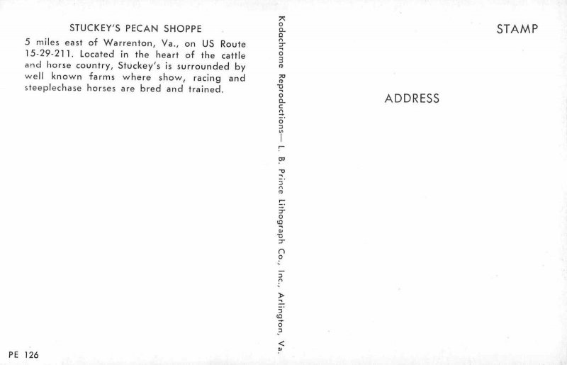 Warrenton Virginia Stuckey's Pecan Shoppe Texaco Gas Station Postcard JE229876