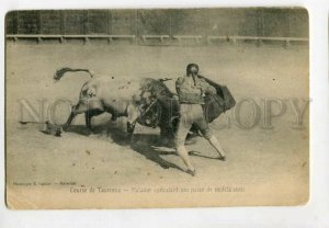 3117912 SPAIN Race BULLS Matador Vintage postcard