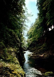 CONTINENTAL SIZE POSTCARD RIVER NORTH ESK AT GONNOCHY BRIDGE ANGUS SCOTLAND