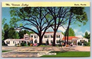 Roadside View~Ocala Florida~Mt Vernon Lodge Hotel Court~Vintage Linen Postcard