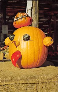 Pumpkin Fresh Vegetables New England Unused