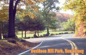 SOUTH BRUNSWICK NJ DAVIDSON MILL PARK HOMEMADE UNUSED CHROME POSTCARD