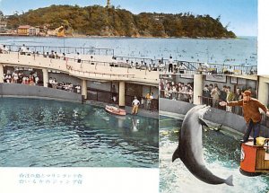 Marineland Enoshima Japan Unused 