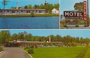 Mosley's Shady Lake Motel - Rocky Mount NC, North Carolina - Roadside