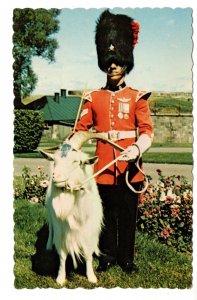 Corporal in Charge of Baptiste, La Citadelle, Quebec, Billy Goat