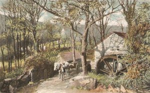 Horse Cart near mill  Old vintage English postcard