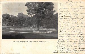 Clifton Springs New York~Sanitarium Park The Lake~1905 B&W Postcard
