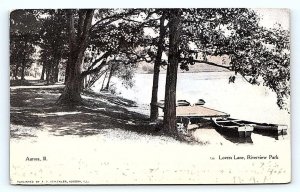 AURORA, IL  Illinois ~ RIVERVIEW PARK Lovers Lane Scene 1907 Postcard