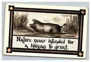 Vintage Early 1900's Postcard Comic Pig Slop Funny Saying POSTED