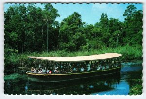 Weeki Wachee Florida Chrome Postcard Riverboat Cruise Boat Tour Unused Deckled