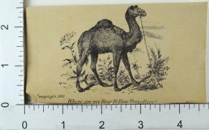 Hidden Faces Puzzle Card Lee's Gas Governor Co. Camel Desert Scene F70