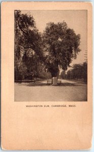 M-43098 Washington Elm Cambridge Massachusetts USA