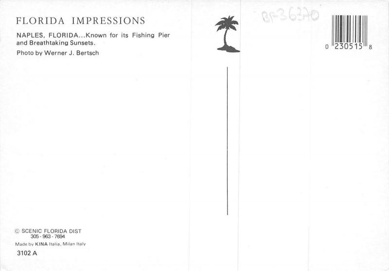 BF36370 florida impressions naples USA  front/back scan