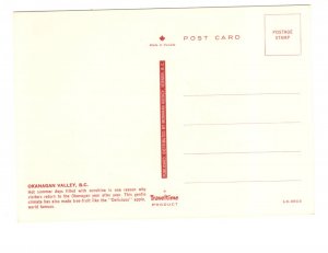 Delicious Apple Tree, Okanagan Valley, British Columbia