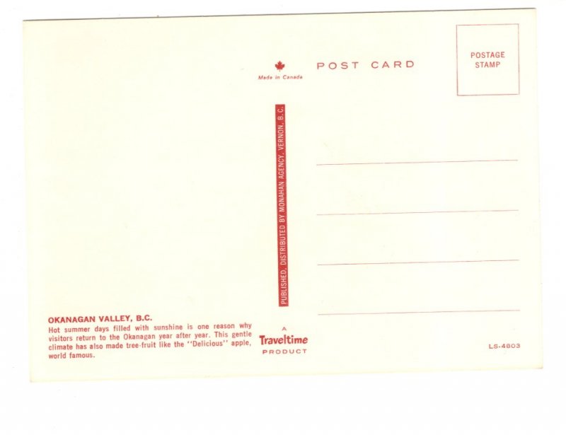 Delicious Apple Tree, Okanagan Valley, British Columbia