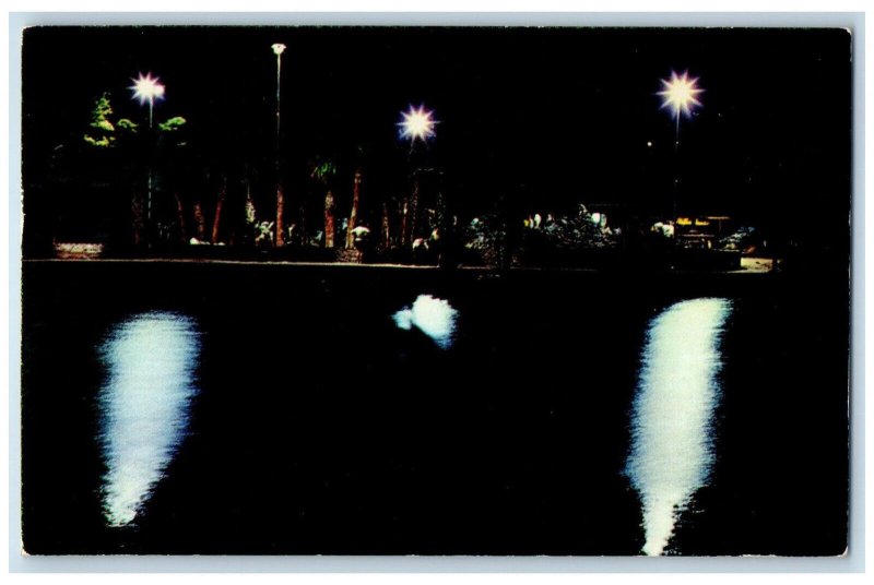 1970 Lake Arrowhead Night Scene Myrtle Beach South Carolina SC Vintage Postcard 