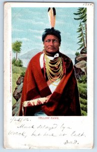 1906 Yellow Hawk American Native Indian Headdress St. Louis Missouri MO Postcard