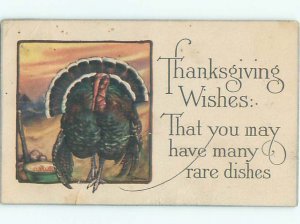 Divided-Back THANKSGIVING SCENE Great Postcard AA0563