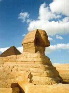 Gallery Quality, Side View of the Mysterious Sphinx,  Egypt Framable PostCard