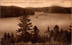 Sunapee Harbor from Garnett Hill, Lake Sunapee NH Vintage Postcard Y67